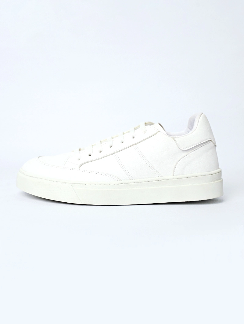 Baskets basses